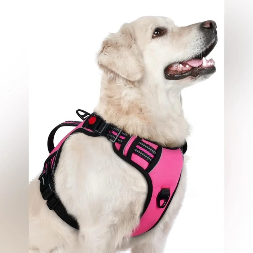 New MASBRILL medium adjustable No Pull dog Safety‎ Buckled  Padded Harness